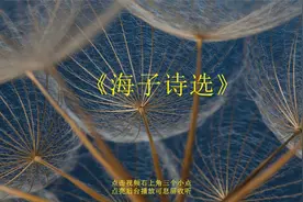 【有声书】《海子诗选》视频封面