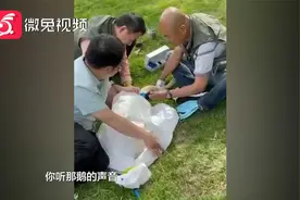 公园天鹅被人强行套颈圈？林业局回应：目前已取下视频封面