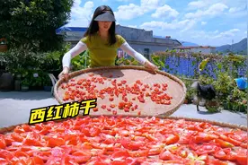 卖剩下的西红柿这样晒干，10斤最后才这么点，储备冬季做菜配料！视频封面