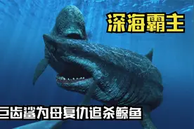 远古海洋霸主巨齿鲨，为母复仇疯狂撕咬鲸鱼，一口将它拦腰咬断！视频封面