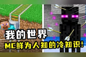 我的世界：MC鲜为人知的小知识，玻璃加石头贴图，能百分百伪装