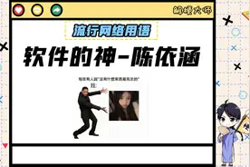 【软件的神-陈依涵】当初我就反对她退出软件开发！