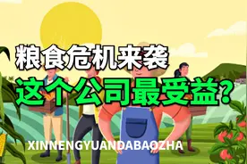 粮食危机概念股，苏垦农发，农业龙头，正宗的粮食危机受益品种！视频封面