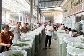 大鹏网购茶叶，6罐茶只要99元，但这次被坑的有点惨视频封面