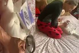 猫咪有点拉肚子，姥姥用热水壶给它烫肚子，网友直呼：温馨！视频封面
