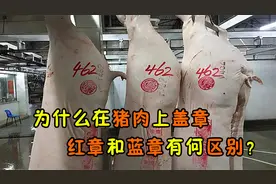 为什么在猪肉上盖章？红章和蓝章有何区别？看完不敢乱买猪肉了