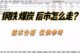 点评：陕西黑猫 郑州煤电 云维股份 酒钢宏兴 安阳钢铁 重庆钢铁视频封面