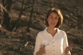 【纪录片】气候挑战-乌干达加利福尼亚 上【1080P】视频封面