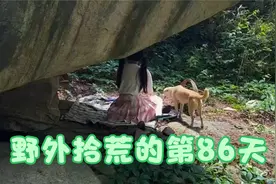 挑战流浪100天第86天 流浪如何获取食物