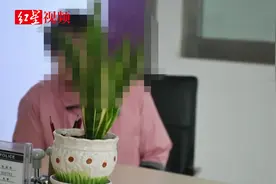 睡桥洞吃老鼠，逃亡的日子不好过，她回国投案自首了视频封面