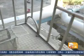 广州：新装雨污分流管后 家中频遭老鼠“光顾”？住户苦不堪言视频封面