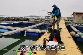 广东湛江五里海钓基地，渔获不多，游钓生活特别美好视频封面