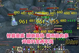 WLK怪最密集刷新最快之地 升级和打金都是圣地视频封面