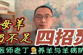 羊奶水不足四招解决视频封面