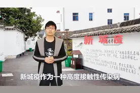 新城疫人见人慌，传说中的“鸡瘟”到底有多可怕？养鸡人不可不知