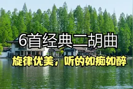 于红梅大师演奏《在那遥远的地方》等6首经典二胡曲，悠扬动听视频封面
