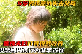 男孩失去父母多日没有吃饭，善良夫妇打算将其收养视频封面