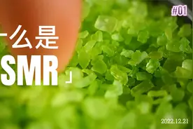 颅内高潮？行声艺术？到底什么是ASMR？这条视频带你了解视频封面