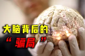 你真的是身体的主人吗？你绝对想象不到，大脑背着我们都干了什么