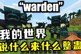 我的世界：说什么来什么整蛊？玩家说阻碍英文，好友却听成末影龙视频封面