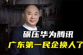 中国最神秘的超级富豪，手握10万亿矿山视频封面