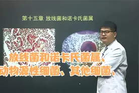 【公开课】医学微生物学十五课放线菌和诺卡氏菌属、动物源性细菌视频封面
