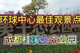 环球中心最佳观景点，成都桂溪生态公园，免费观景遛娃晒太阳视频封面