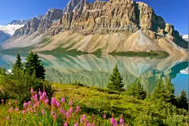 放松解压助眠：劳动是一种享受，让我们真实感受生活。视频封面