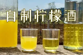 意大利厨师长安德教你自制柠檬酒，两种配方任你选！视频封面