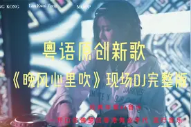 #香港回归25周年 #晚风心里吹粤语DJ完整版视频封面