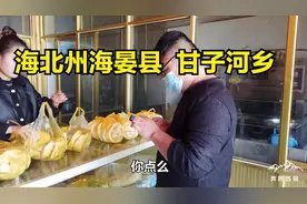 海北藏族自治州海晏县甘子河乡什么样子 看看乡镇买些吃的视频封面