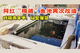 时隔两年半，网红“棉裤”鱼池再次改造，从繁就简视频封面