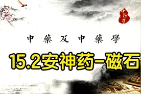 【中药学】15.2安神药-磁石，中医学习课程，零基础入门养生教程视频封面
