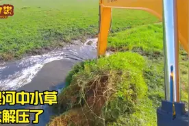 挖机河道清理水草，看起来太解压了，一铲子带动一片视频封面