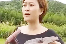 灵芝孢子粉药效高于灵芝本身，能增强机体免疫力，还能护肝防辐射视频封面
