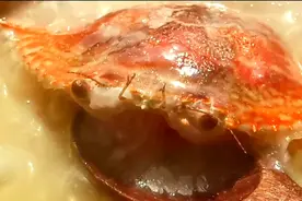 鲜甜螃蟹粥在家就能做，鲜到掉眉毛！视频封面