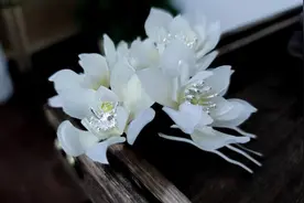 十二花神系列 | 古风发饰制作教程 | 玉兰发梳 发簪视频封面