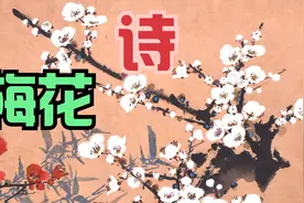梅花诗词，每一首都是经典，梅须逊雪三分白，雪却输梅一段香视频封面