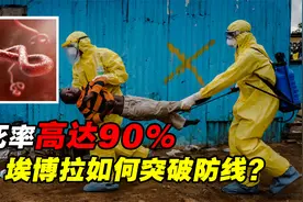 致死率高达90%！埃博拉病毒进入人体后，如何突破防线进行繁殖？视频封面