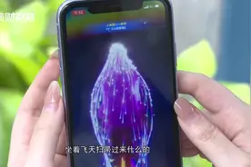 变味的社交软件 “灵魂交流”被金钱挟持 年轻人用“灵魂”买单？