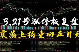 3.21号涨停板复盘:市场震荡上攻，重新站上五日和十日均线视频封面