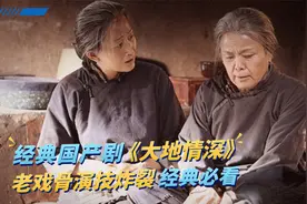 《大地情深》经典老剧，老人替孩子上战场冲锋，结局让人泪目视频封面