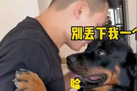 主人和狗狗玩捉迷藏，狗狗以为主人不见了伤心的快哭了，太感动了视频封面