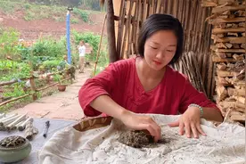 艾叶全身都是宝，农村姑娘教你艾叶做成艾条，方法简单一看就懂视频封面