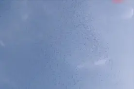 啥情况？北京房山有大群飞鸟空中盘旋，场面十分壮观视频封面