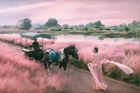 粉黛怎么拍好看？看完小兵这波操作，应该明白自己缺少什么了吧？