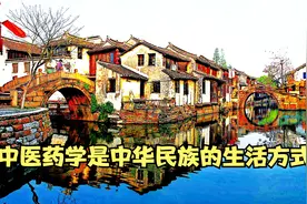 中医学是一种生活方式 具有工具理性和价值理性 西医价值理性很低视频封面