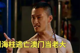 深度解读《澳门往事》，30分钟看全集，刘海柱逃亡外地当老大视频封面