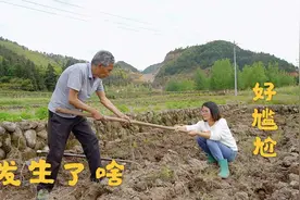 儿媳妇跟农村公公地里干农活，发生了啥意外？场面有点尴尬了视频封面