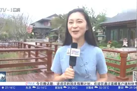 在青岛感受烟雨江南！阿朵小镇开门纳客，集合八大网红民宿品牌视频封面